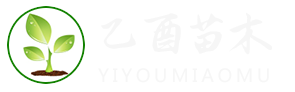 山东乙酉苗木有限公司