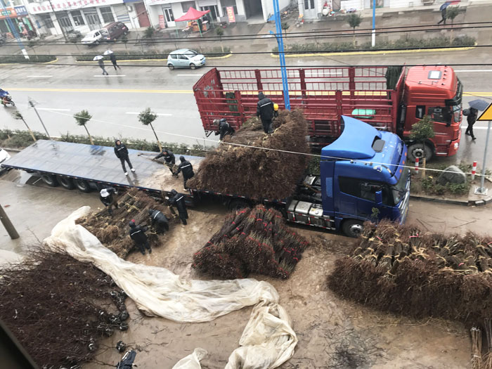 发货现场