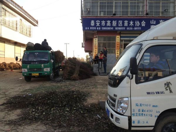 发货现场