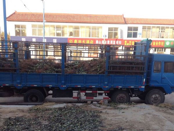 发货现场