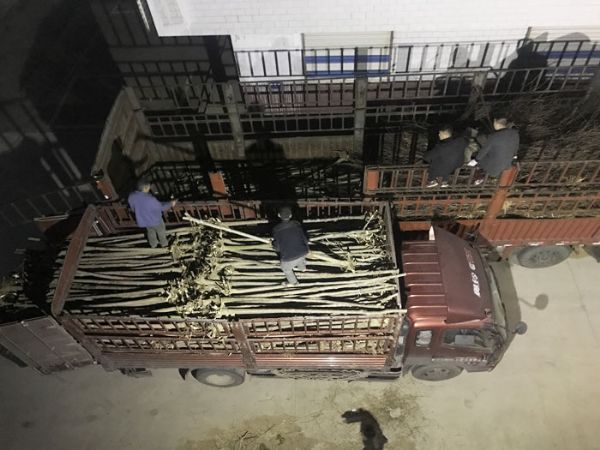 发货现场