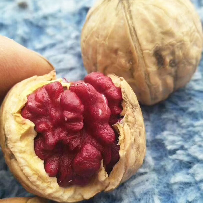 红仁核桃