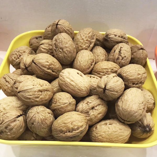丰辉核桃