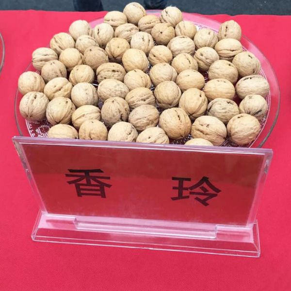 香玲核桃