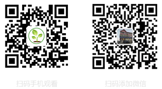 乙酉二维码